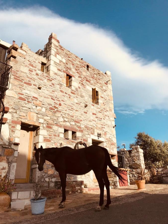 Castle Rizaraki Hotel Kokkala Eksteriør billede